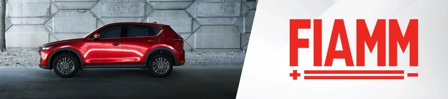 Fiamm Autobatterien