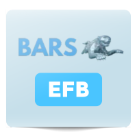 Bars EFB Autobatterien