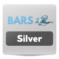 Bars Silver Autobatterien