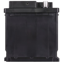 Hammer 12V 100Ah 800 A Autobatterie