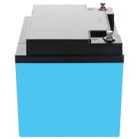 Bluebox 12V 45Ah Bleiakku AGM VRLA Industriebatterie