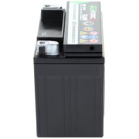 Fiamm EcoForce AGM 12V 10Ah VR170 Stützbatterie
